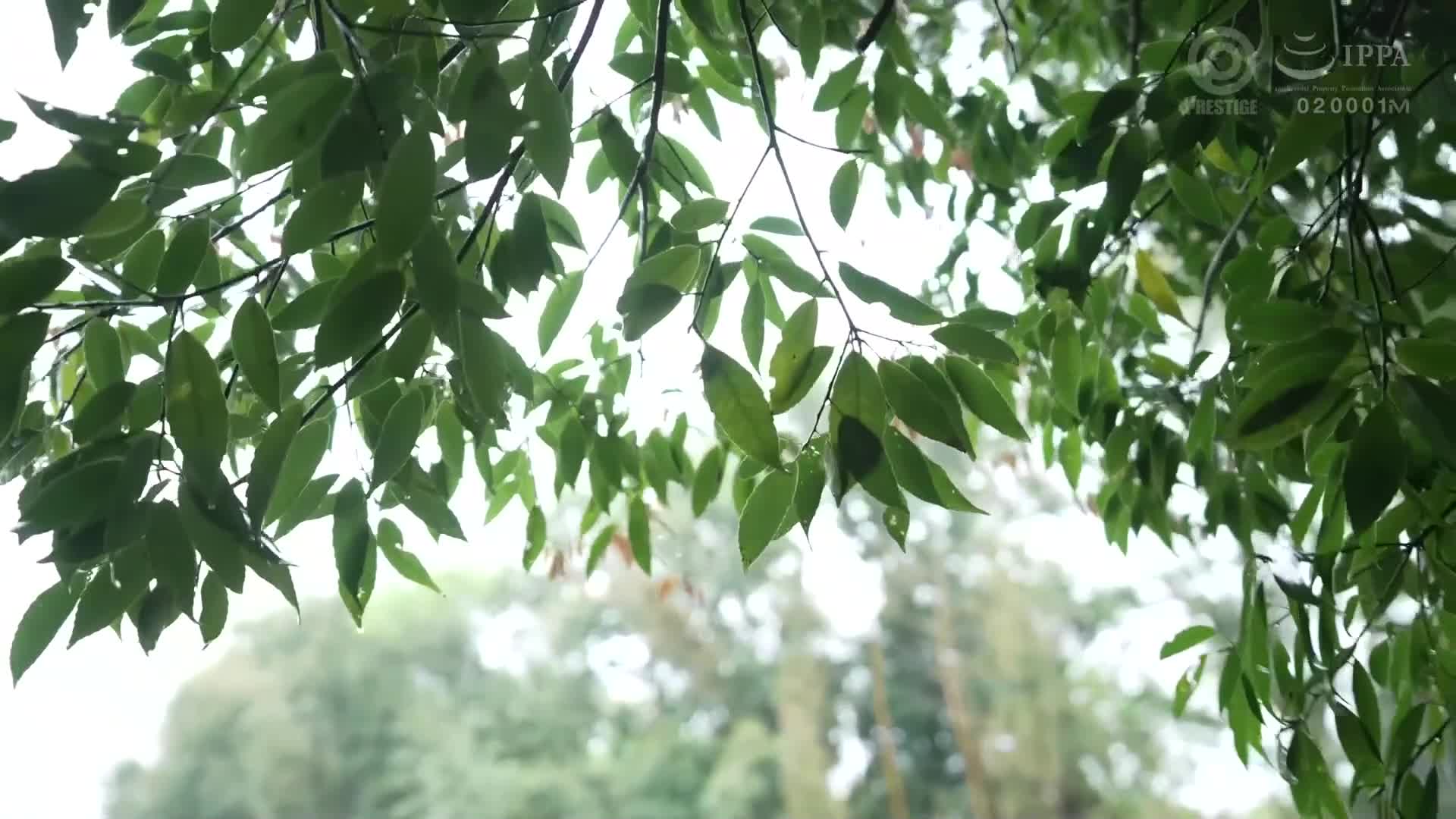 大嫂的子宫在咆哮，中出+α11发射！！ 真人版 松冈铃 - AV大平台-中文字幕,成人影片,AV,国产,线上看