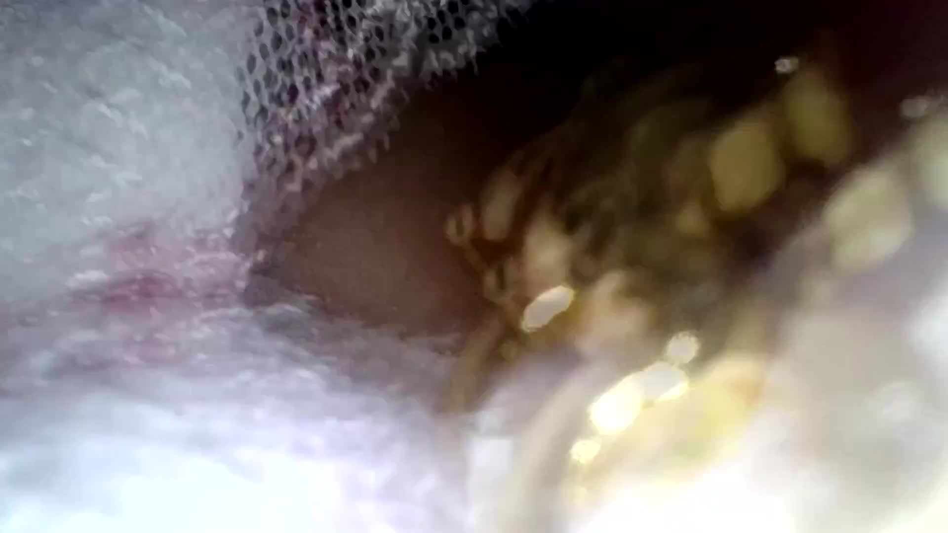完全穿着内衣角度！使用灵活移动的光纤镜头刺激敏感乳头，即使害羞也会感到兴奋的贫乳美少女2 白皙美乳头的海军制服少女 白姬佳奈 - AV大平台-中文字幕,成人影片,AV,国产,线上看